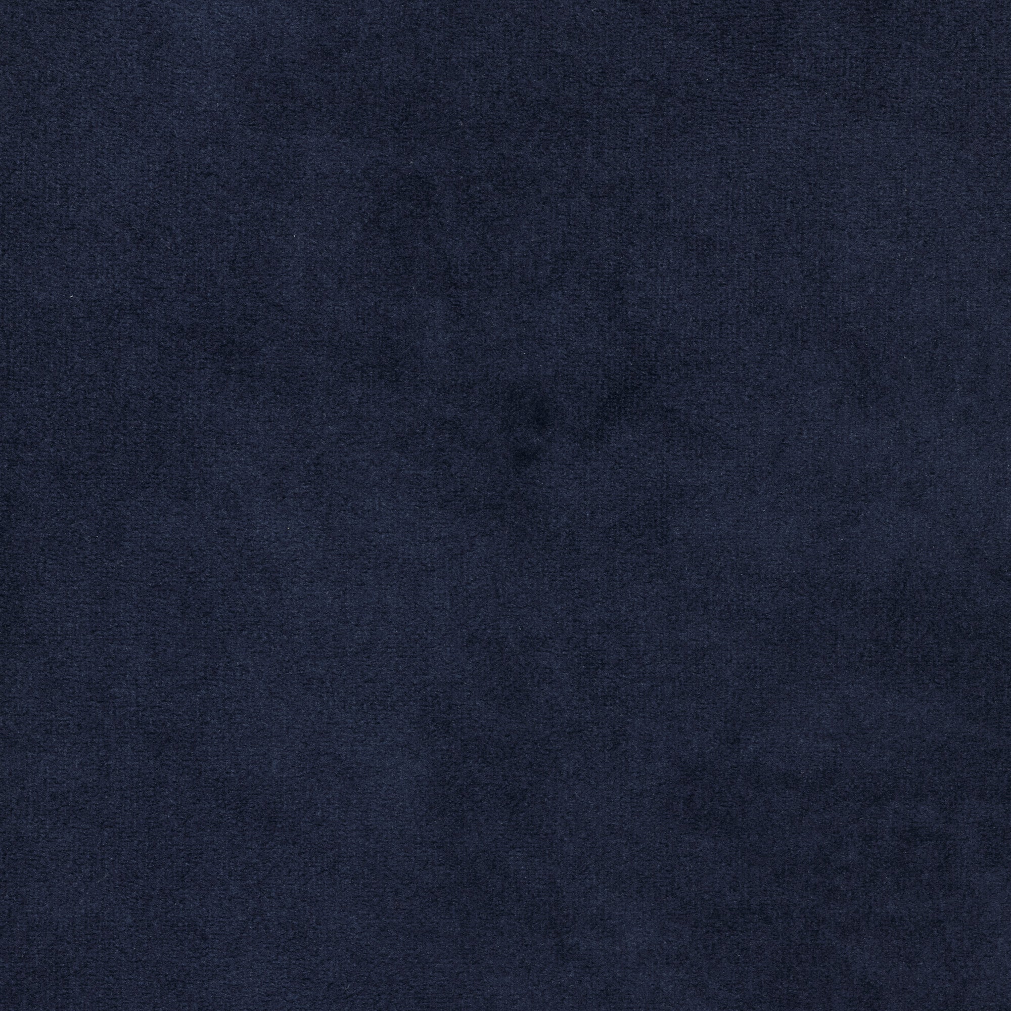 Echantillon CESARE velours bleu marine