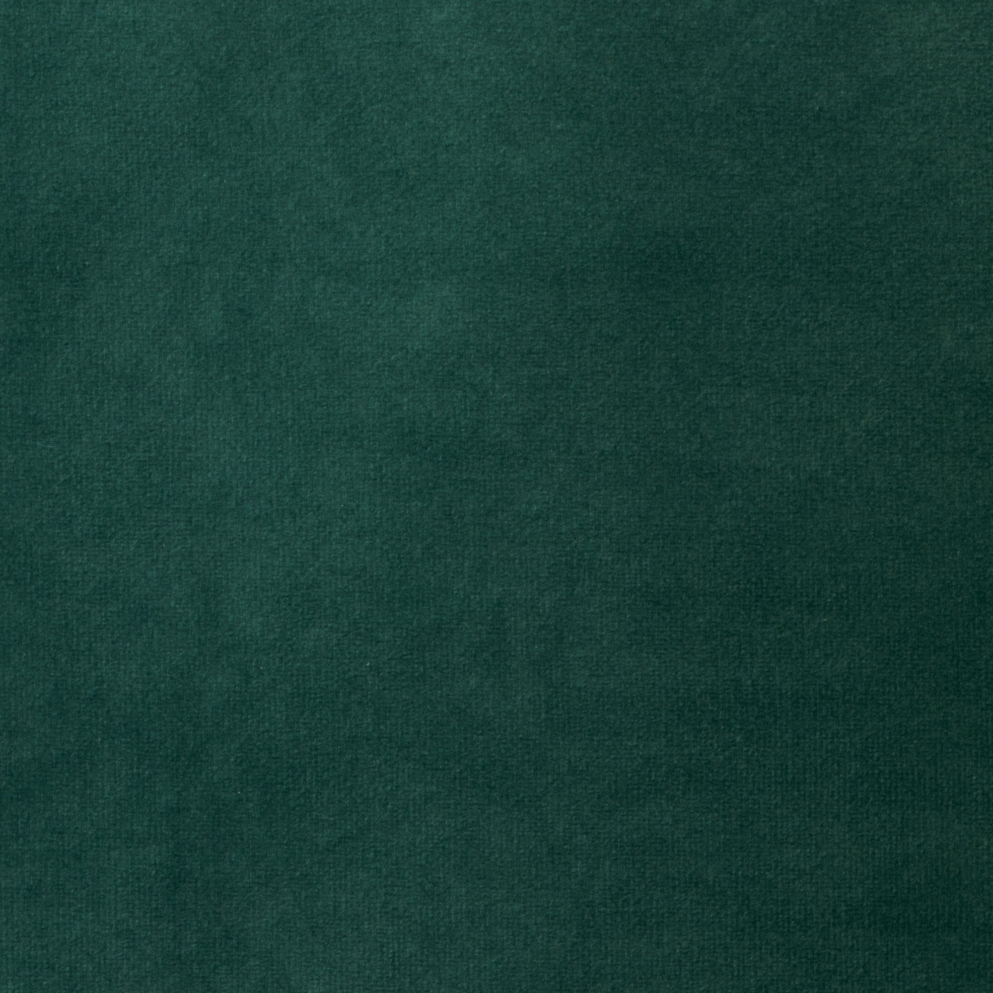 Fauteuil CESARE velours vert pin